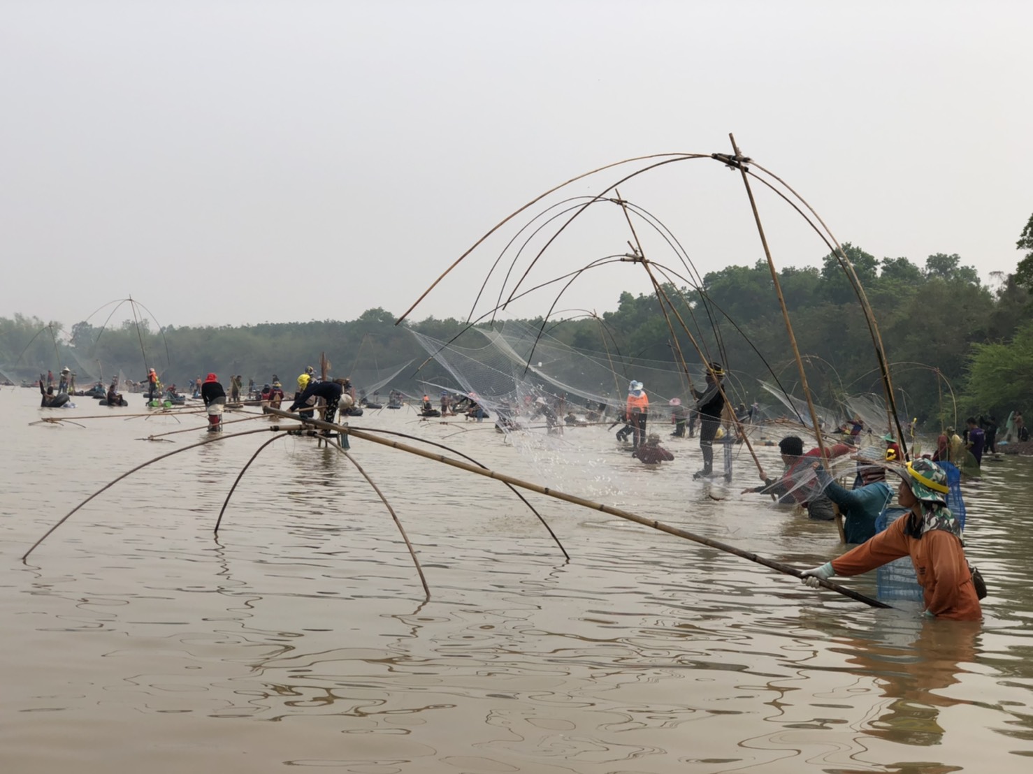 เปิดงานโครงการธนาคารผลลิตสัตว์น้ำแบบมีส่วนร่วม“แหล่งน้ำหนองพัง”..คลิก