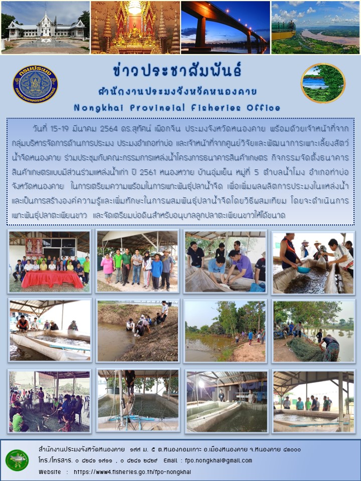 ข่าวประชาสัมพันธ์..คลิก