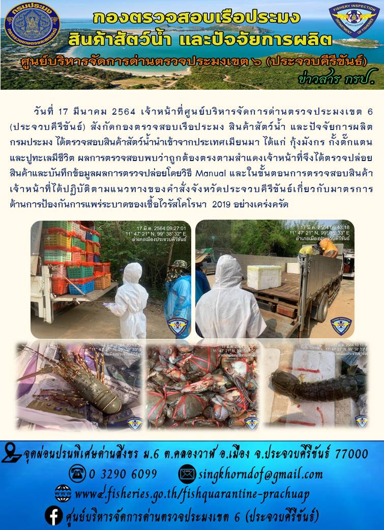 สินค้าสัตว์น้ำนำเข้าจากประเทศเมียนมา..คลิก