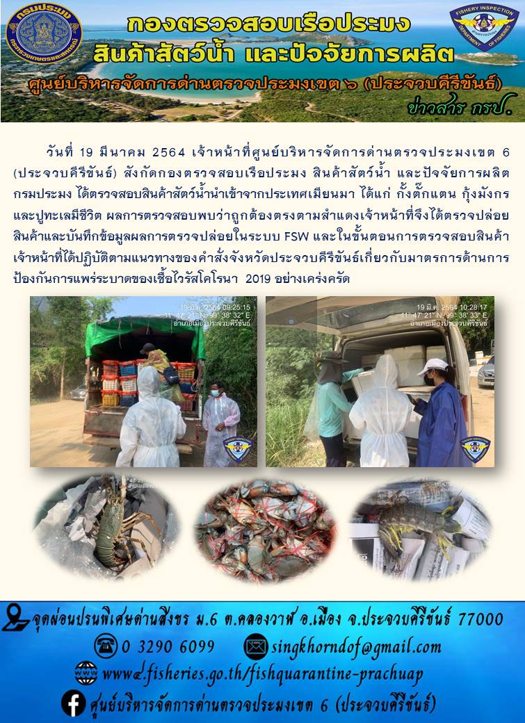 สินค้าสัตว์น้ำนำเข้าจากประเทศเมียนมา..คลิก