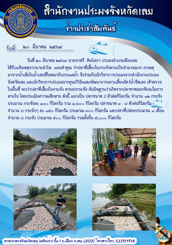 ปลากระชังในแม่น้ำเลยตาย