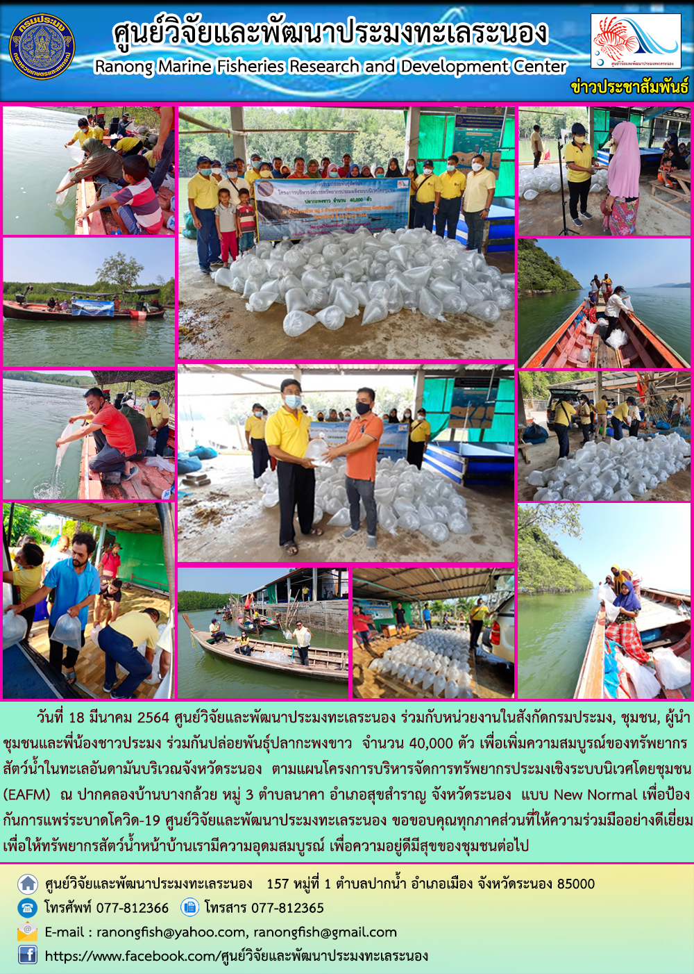 วันที่ 18 มีนาคม 2564 เจ้าหน้าที่ศูนย์วิจัยและพัฒนาประมงทะเลระนอง ร่วมกับหน่วยงานในสังกัดกรมประมง ,ชุมชน,ผู้นำชุมชน,พี่น้องชาวประมง ร่วมกันปล่อยพันธ์ุปลากะพงขาว จำนวน 40,000 ตัว ตามแผนโครงการบริหารจัดการทรัพยากรประมงเชิงระบบนิเวศโดยชุมชน (EAFM) ณ ปากคลองบ้านบางกล้วย จังหวัดระนอง ศูนย์วิจัยและพัฒนาประมงทะเลระนอง ขอขอบคุณทุกภาคส่วนที่ให้ความร่วมมืออย่างดีเยี่ยม เพื่อให้ทรัพยากรสัตว์น้ำหน้าบ้านเรามีความอุดมสมบูรณ์และชุมชนสามารถใช้ประโยชน์ได้อย่างยั่งยืนต่อไป..คลิก