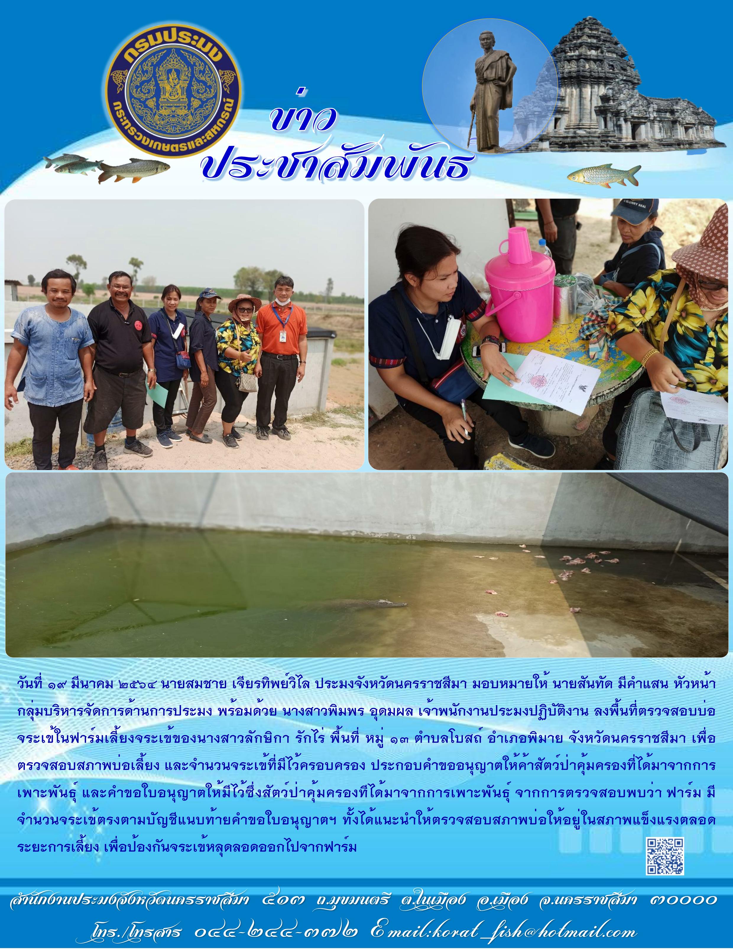 เจ้าหน้าที่กลุ่มบริหารจัดการด้านการประมงลงพื้นที่ตรวจสอบบ่อจระเข้ในฟาร์มเลี้ยงพื้นที่หมู่ 13 ตำบลโบสถ์ อำเภอพิมาย..คลิก