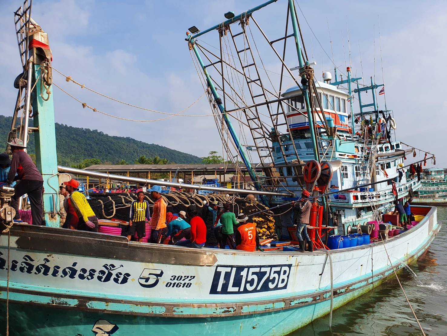 สุ่มตรวจสารฟอร์มาลินในสัตว์น้ำสด ณ ท่าเทียบเรือจังหวัดตราด จันทบุรี ระยอง และชลบุรี