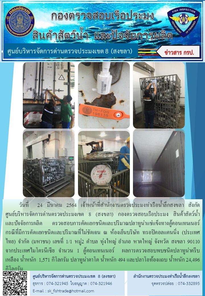 วันที่  24 มีนาคม 2564 เจ้าหน้าที่สำนักงานตรวจประมงท่าเรือน้ำลึกสงขลา สังกัด          ศูนย์บริหารจัดการด่านตรวจประมงเขต 8 (สงขลา) กองตรวจสอบเรือประมง สินค้าสัตว์น้ำ     และปัจจัยการผลิต ตรวจสอบการคัดแยกชนิดและปริมาณปลาทูน่าแช่แข็งทางตู้คอนเทนเนอร์  กรณีที่มีการคัดแยกชนิดและปริมาณที่ไม่ชัดเจน ณ ห้องเย็นบริษัท ทรอปิคอลแคนนิ่ง (ประเทศไทย) จํากัด (มหาชน)..คลิก