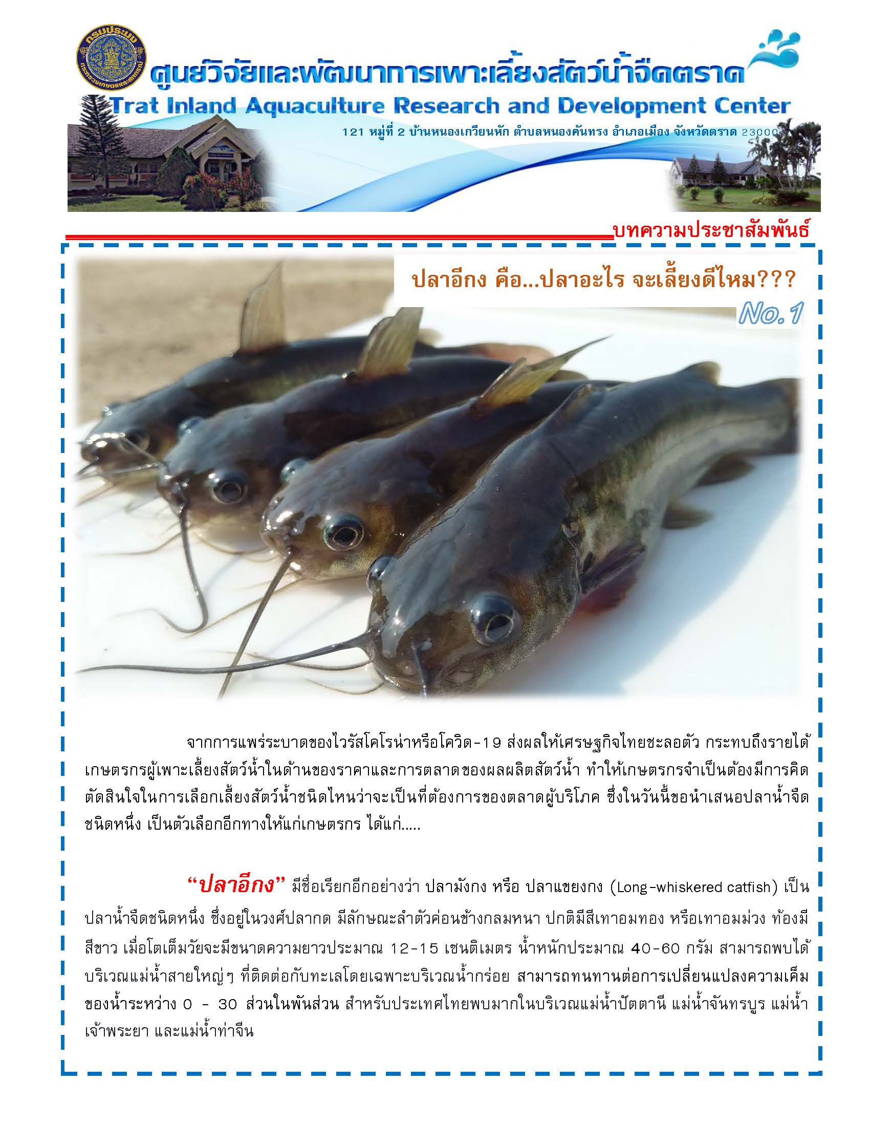 ปลาอีกง คือ...ปลาอะไร จะเลี้ยงดีไหม???