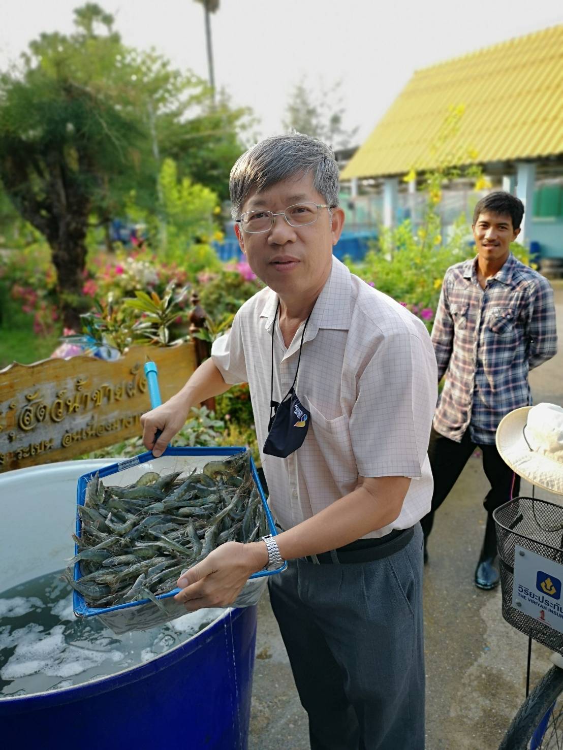 ศูนย์ศึกษาการพัฒนาอ่าวคุ้งกระเบน อันเนื่องมาจากพระราชดำริ สาธิตการเลี้ยงกุ้งขาวในบ่อพีอี..คลิก