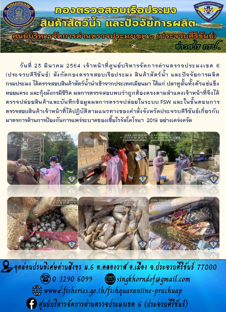 สินค้าสัตว์น้ำนำเข้าจากประเทศเมียนมา