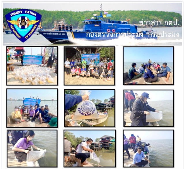 ร่วมกับเจ้าหน้าที่จากสำนักงานประมงจังหวัดสมุทรปราการ ปล่อยพันธุ์สัตว์น้ำเพื่อเพิ่มผลผลิตในแหล่งน้ำของชุมชน..คลิก