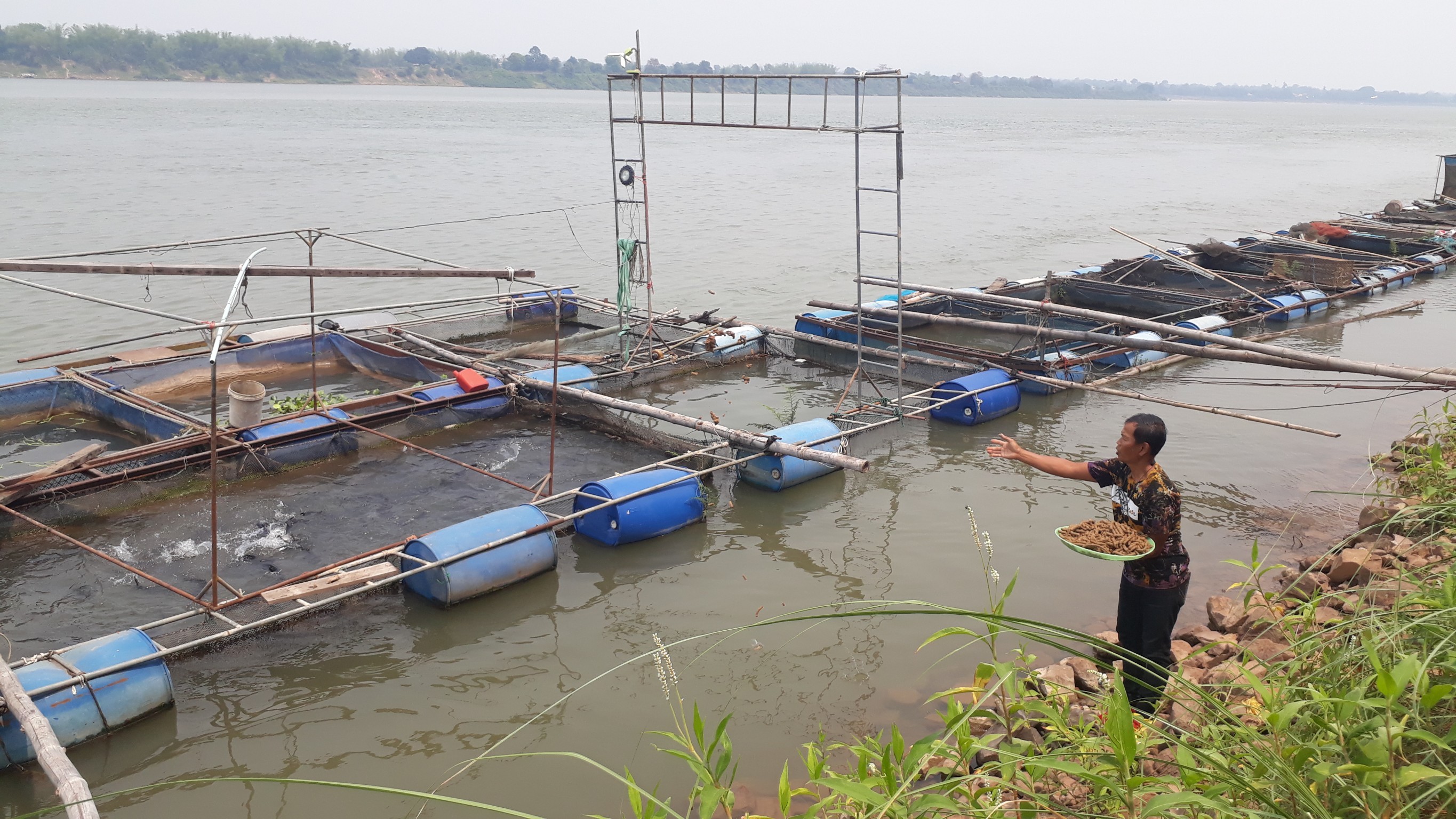 ฝึกอบรมเกษตรกร โครงการส่งเสริมและพัฒนาผลิตประมงจังหวัดมุกดาหาร กิจกรรมส่งเสริมการพัฒนาการเลี้ยงปลากดแก้ว..คลิก