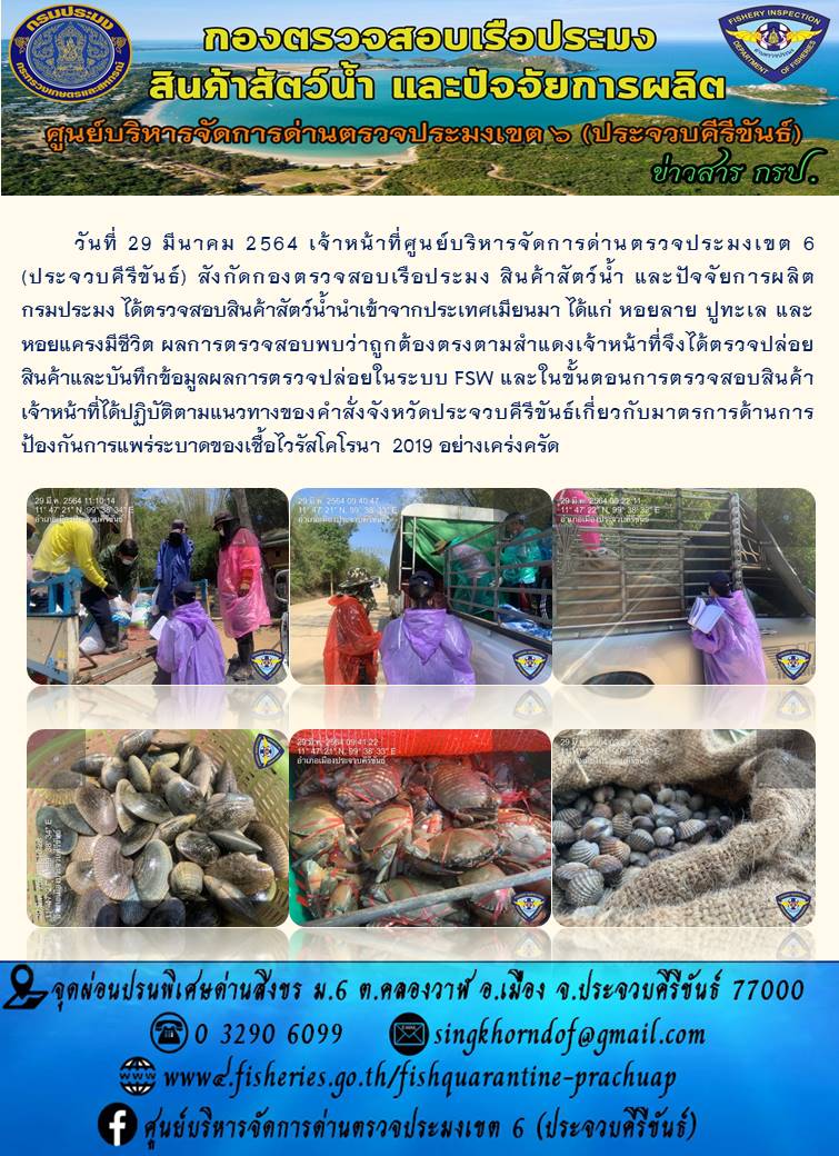สินค้าสัตว์น้ำนำเข้าจากประเทศเมียนมา..คลิก