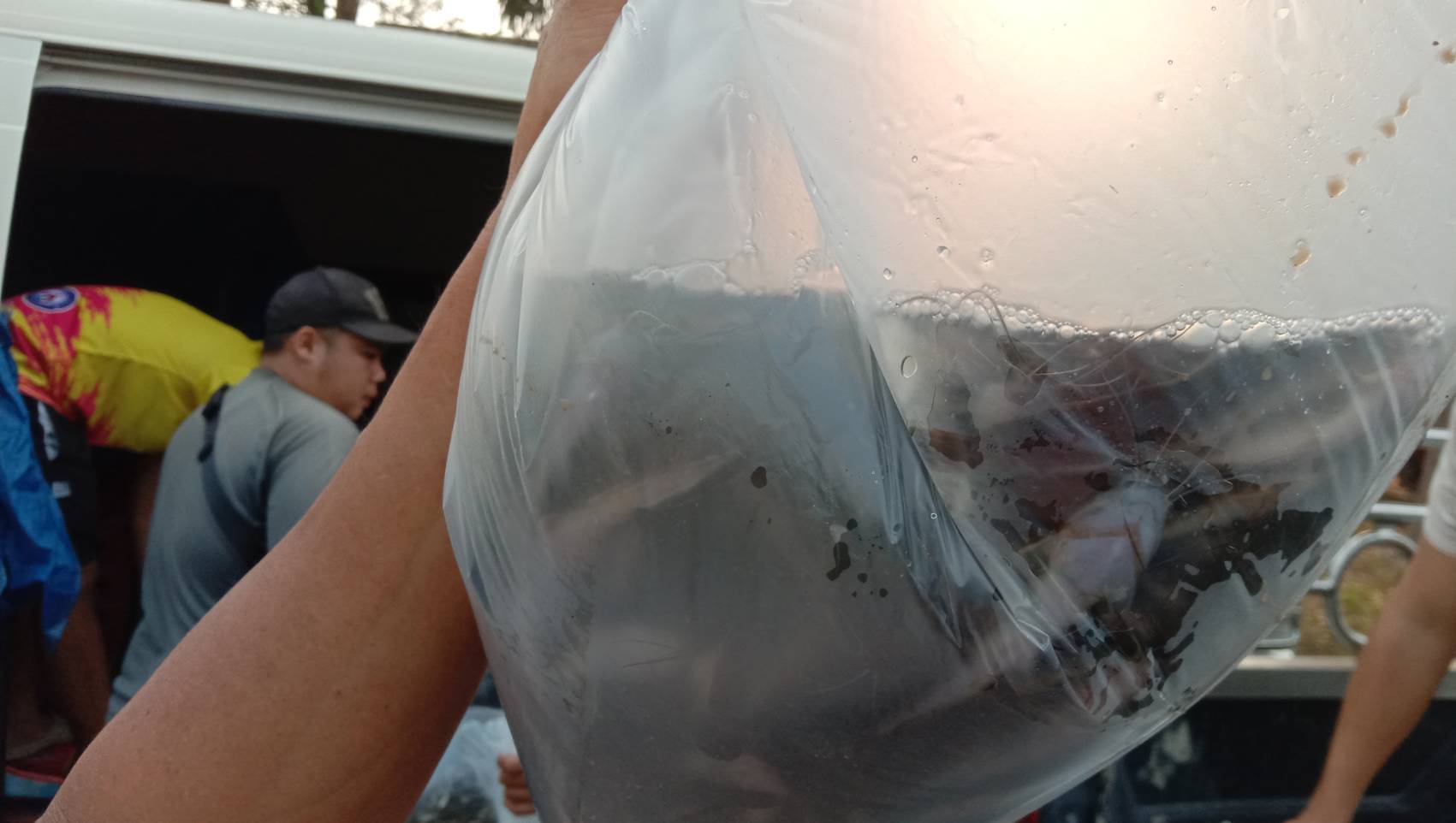 ตรวจสอบลูกพันธุ์สัตว์น้ำ ส่งออกไปยัง สปป.ลาว..คลิก