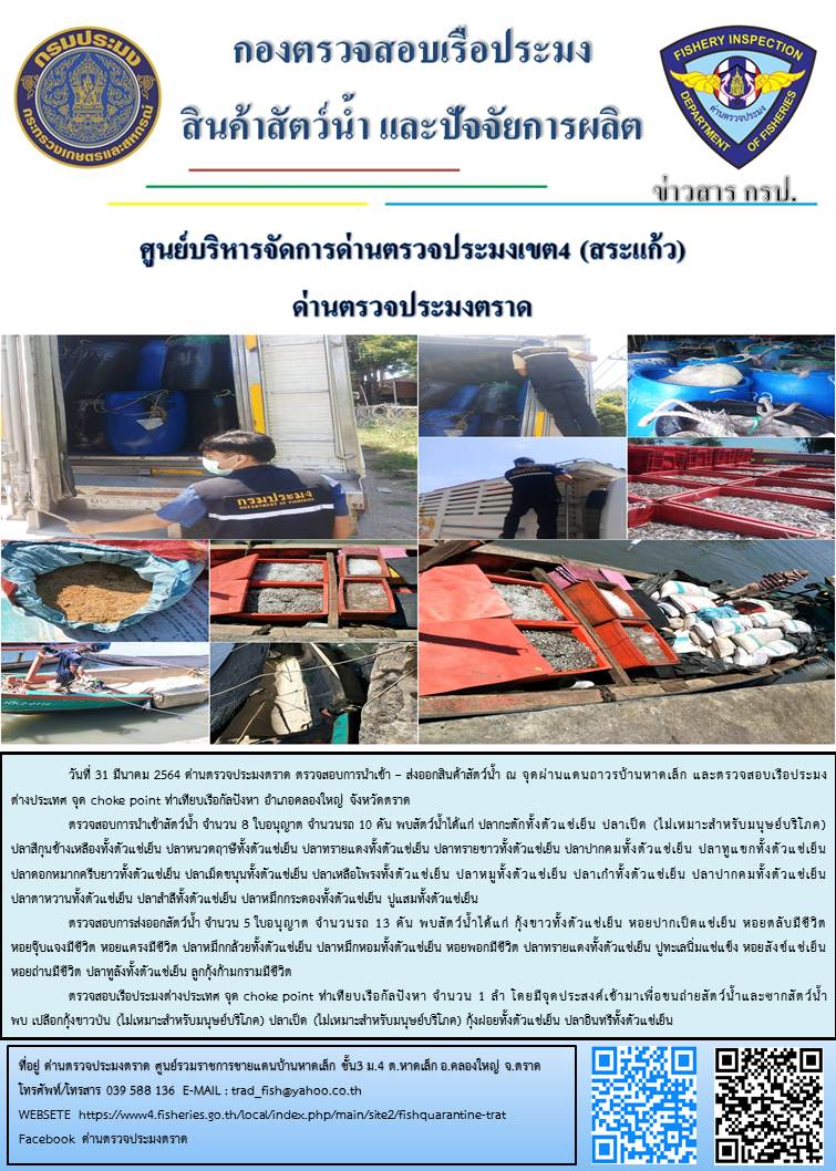 วันที่ 31 มีนาคม 2564 ด่านตรวจประมงตราด  ตรวจสอบการนำเข้า – ส่งออกสินค้าสัตว์น้ำ ณ จุดผ่านแดนถาวรบ้านหาดเล็ก ตรวจสอบเรือประมงต่างประเทศ จุด choke point ท่าเทียบเรือกัลปังหา อำเภอคลองใหญ่ จังหวัดตราด และ ตรวจสอบเรือประมงไทย ที่แจ้งเข้า - ออกผ่านระบบ Fishing info2 ร่วมกับชุดสหวิชาชีพ กรมเจ้าท่า กรมจัดหางาน กรมสวัสดิการ และคุ้มครองแผนงาน และล่ามภาษากัมพูชา เขตพื้นที่อำเภอคลองใหญ่ อำเภอเมืองและอำเภอแหลมงอบ จังหวัดตราด..คลิก