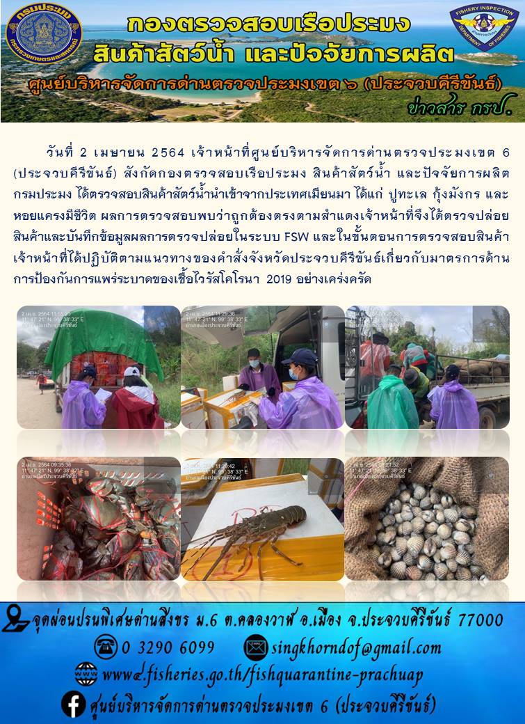 สินค้าสัตว์น้ำนำเข้าจากประเทศเมียนมา..คลิก