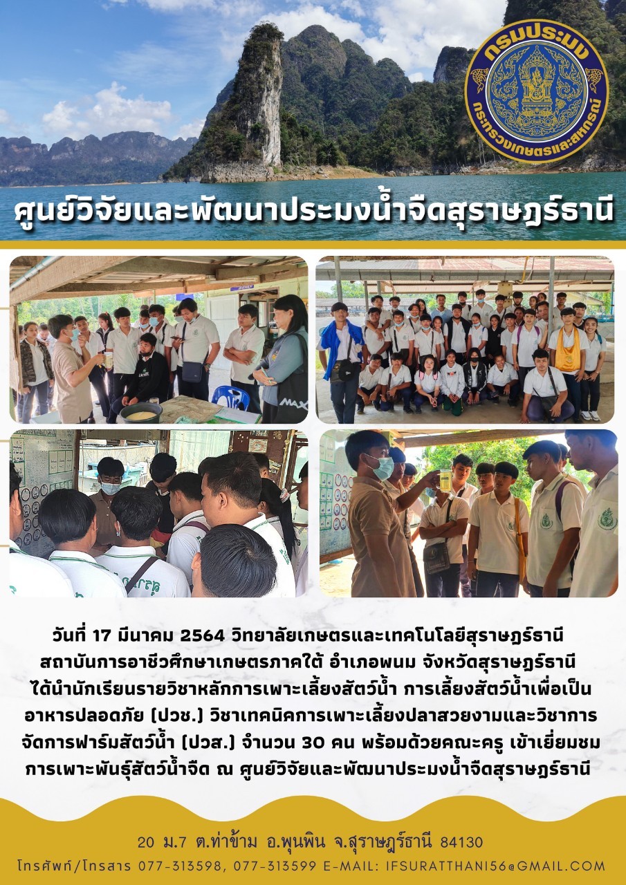 17 มีนาคม 2564