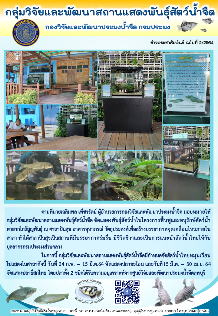 ข่าวประชาสัมพันธ์ ฉบับที่ 2/2564 จัดแสดงสัตว์น้ำในศาลาปันสุข..คลิก