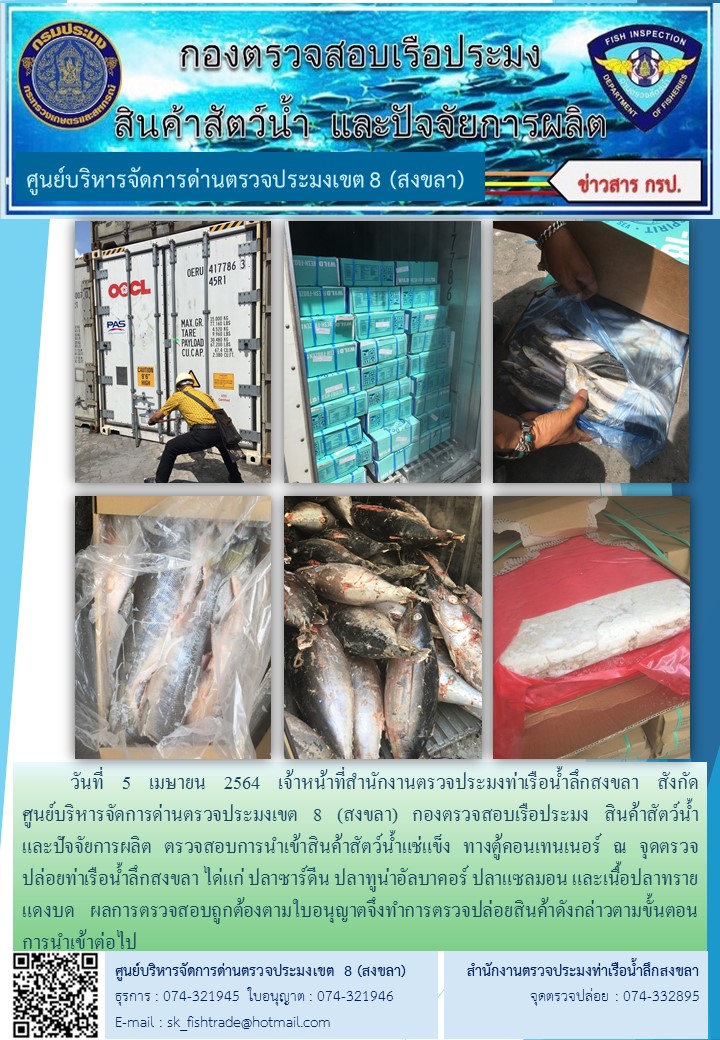 วันที่ 5 เมษายน 2564 เจ้าหน้าที่สำนักงานตรวจประมงท่าเรือน้ำลึกสงขลา สังกัด           ศูนย์บริหารจัดการด่านตรวจประมงเขต 8 (สงขลา) กองตรวจสอบเรือประมง สินค้าสัตว์น้ำ     และปัจจัยการผลิต ตรวจสอบการนำเข้าสินค้าสัตว์น้ำแช่แข็ง ทางตู้คอนเทนเนอร์ ณ จุดตรวจปล่อยท่าเรือน้ำลึกสงขลา..คลิก