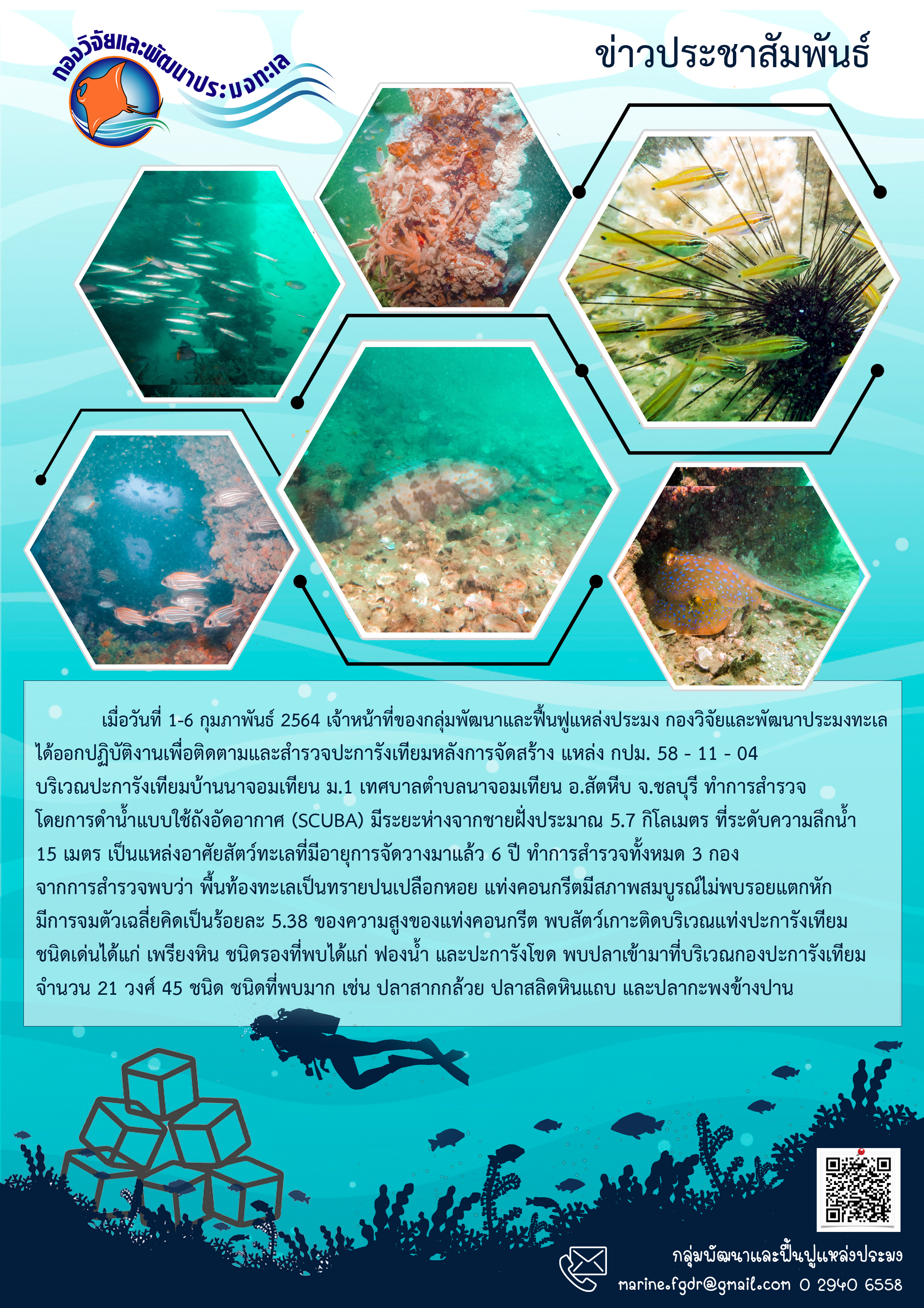 ติดตามและสำรวจปะการังเทียมหลังการจัดสร้าง แหล่ง กปม. 58 - 11 - 04..คลิก
