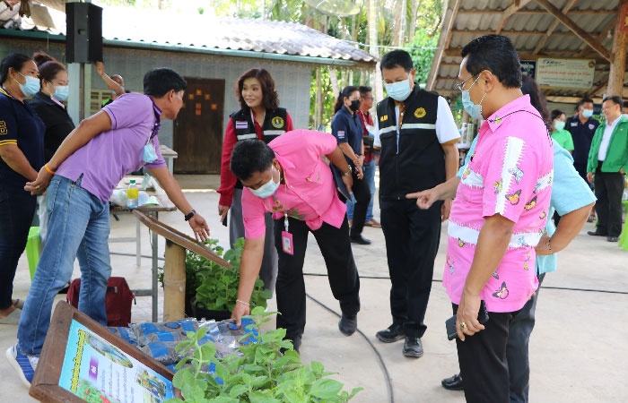งานวันถ่ายทอดเทคโนโลยีเพื่อเริ่มต้นฤดูกาลผลิตใหม่ ประจำปี 2564 ณ ศูนย์เรียนรู้การเพิ่มประสิทธิภาพการผลิตสินค้าเกษตร (ศพก.) ม.9 ตำบลวังโตนด อำเภอนายายอาม จังหวัดจันทบุรี..คลิก