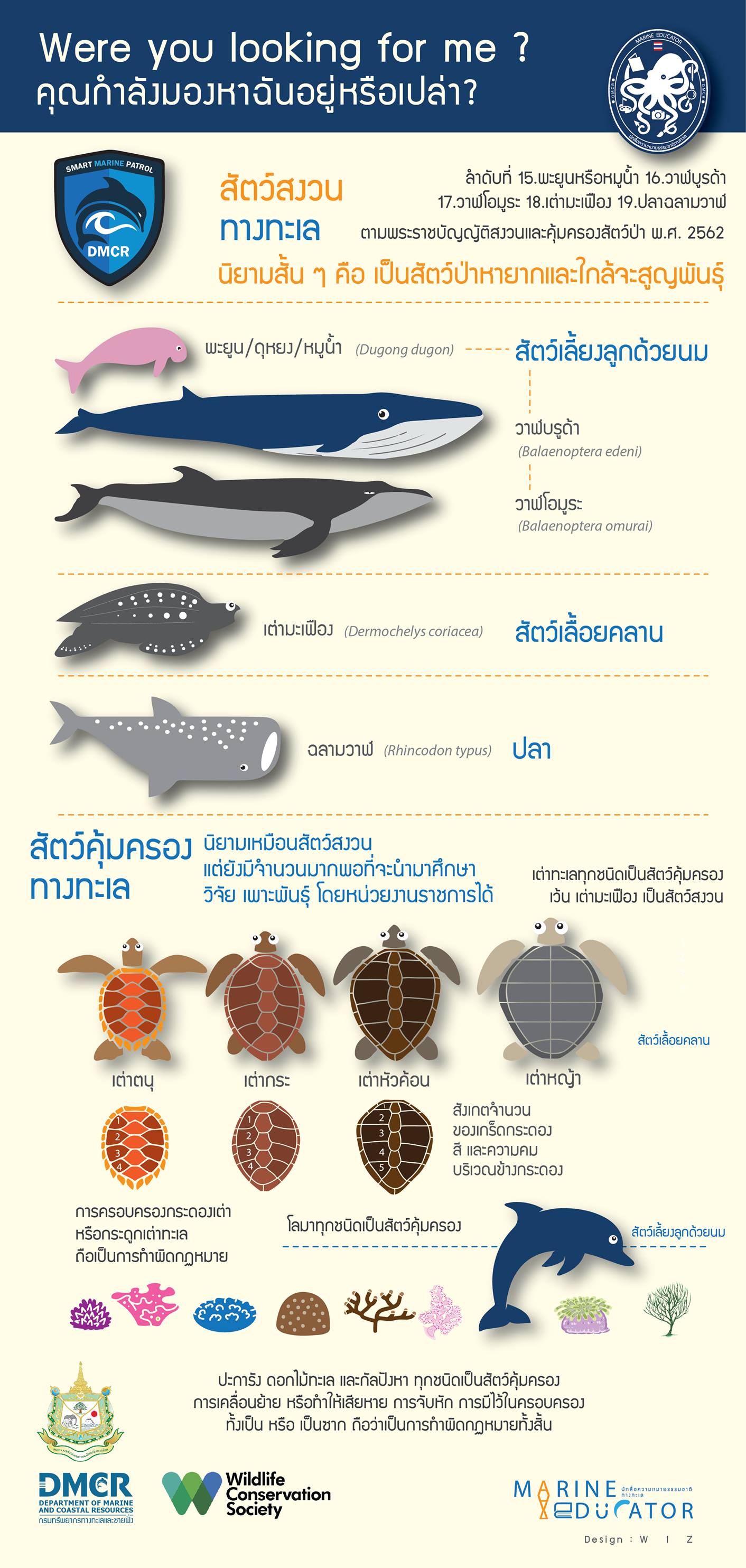 สัตว์สงวนทางทะเล