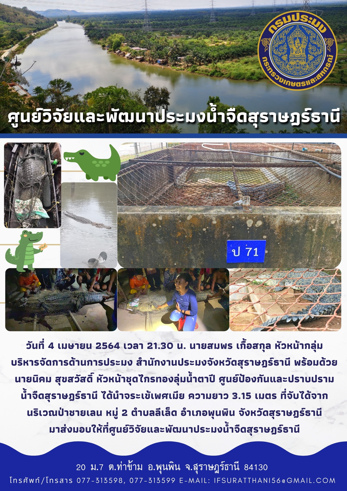 ส่งมอบจระเข้น้ำเค็ม