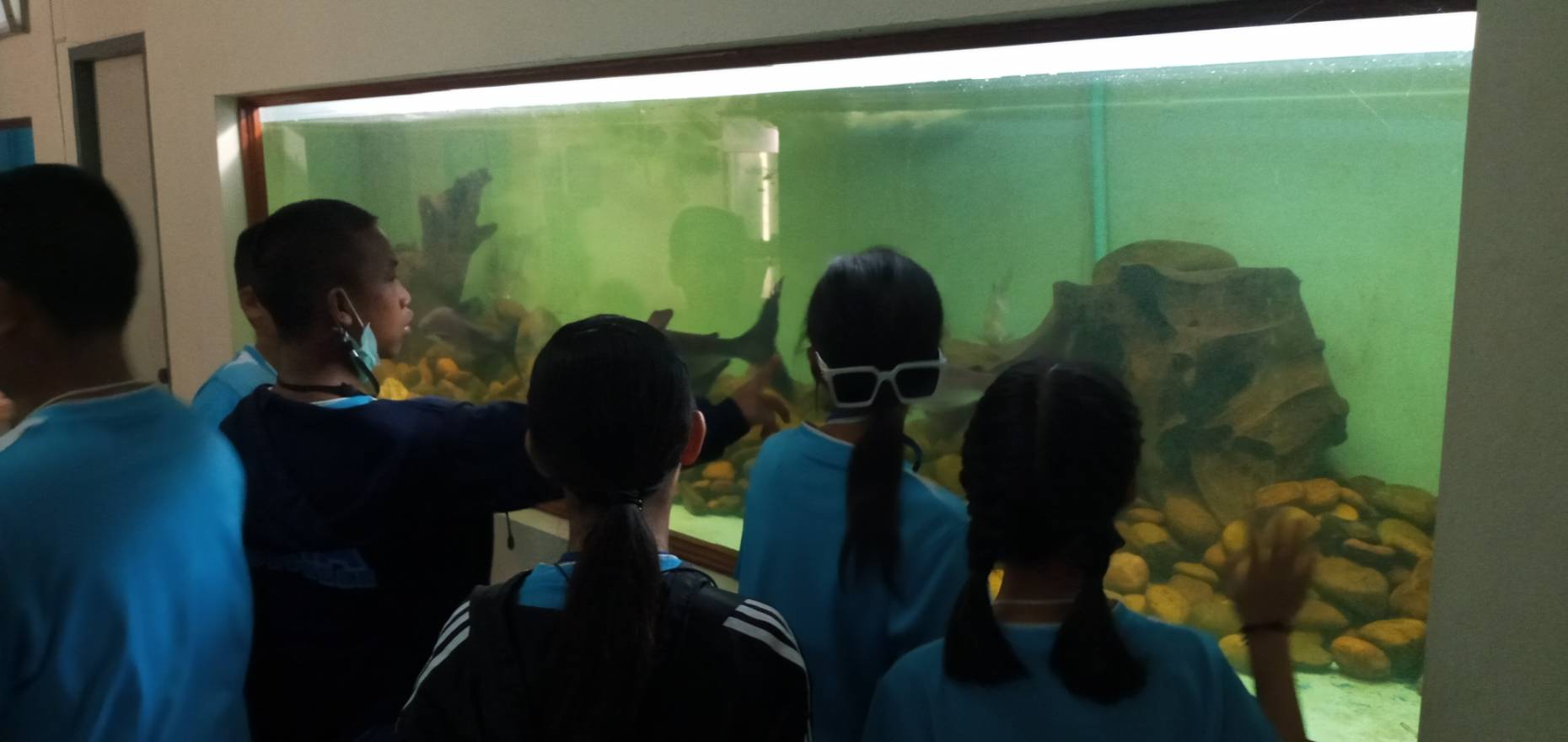 ศึกษาดูงาน โรงเรียนบ้านแม่นาเรือใต้..คลิก