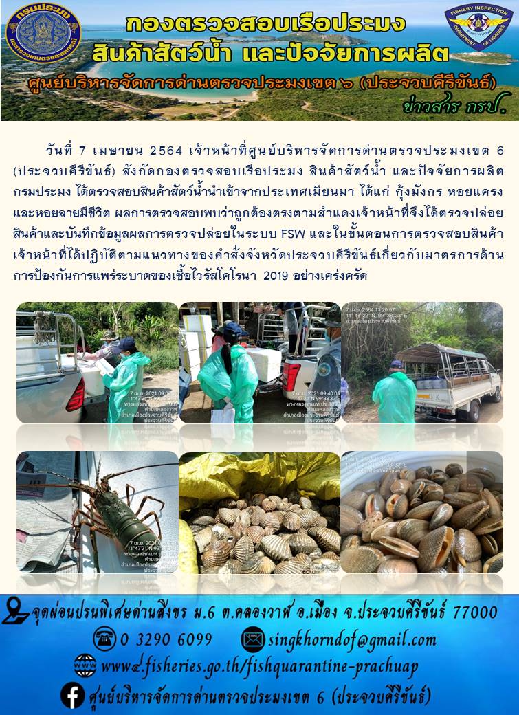 สินค้าสัตว์น้ำนำเข้าจากประเทศเมียนมา..คลิก