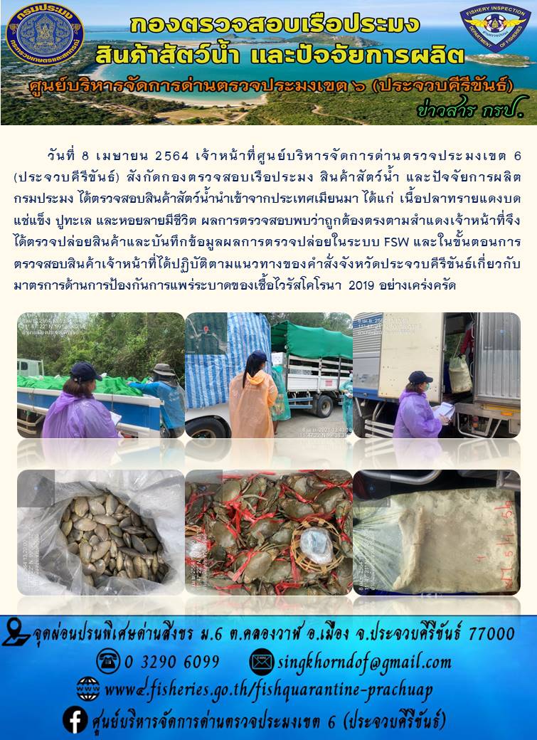 สินค้าสัตว์น้ำนำเข้าจากประเทศเมียนมา