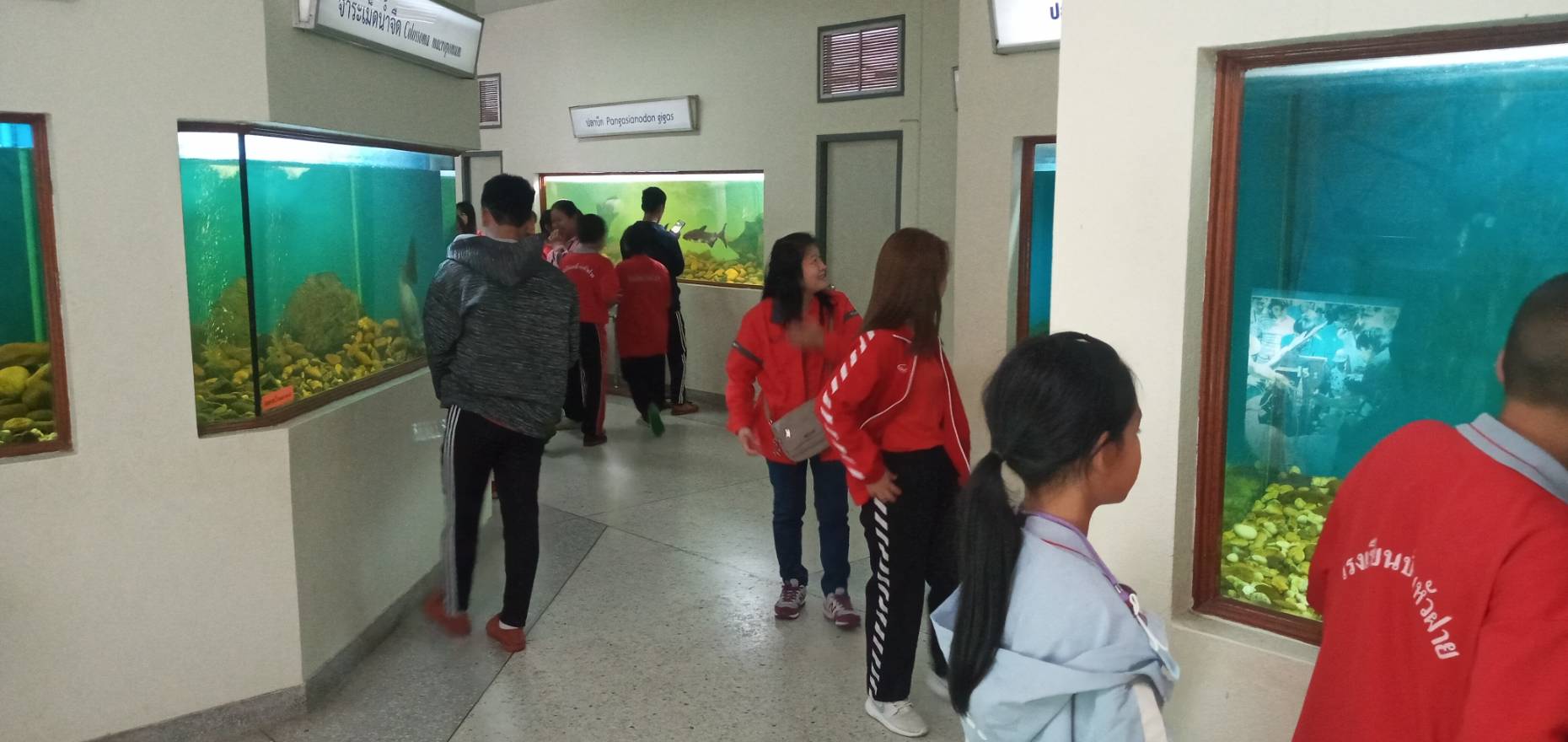 ศึกษาดูงาน โรงเรียนบ้านหัวฝาย..คลิก