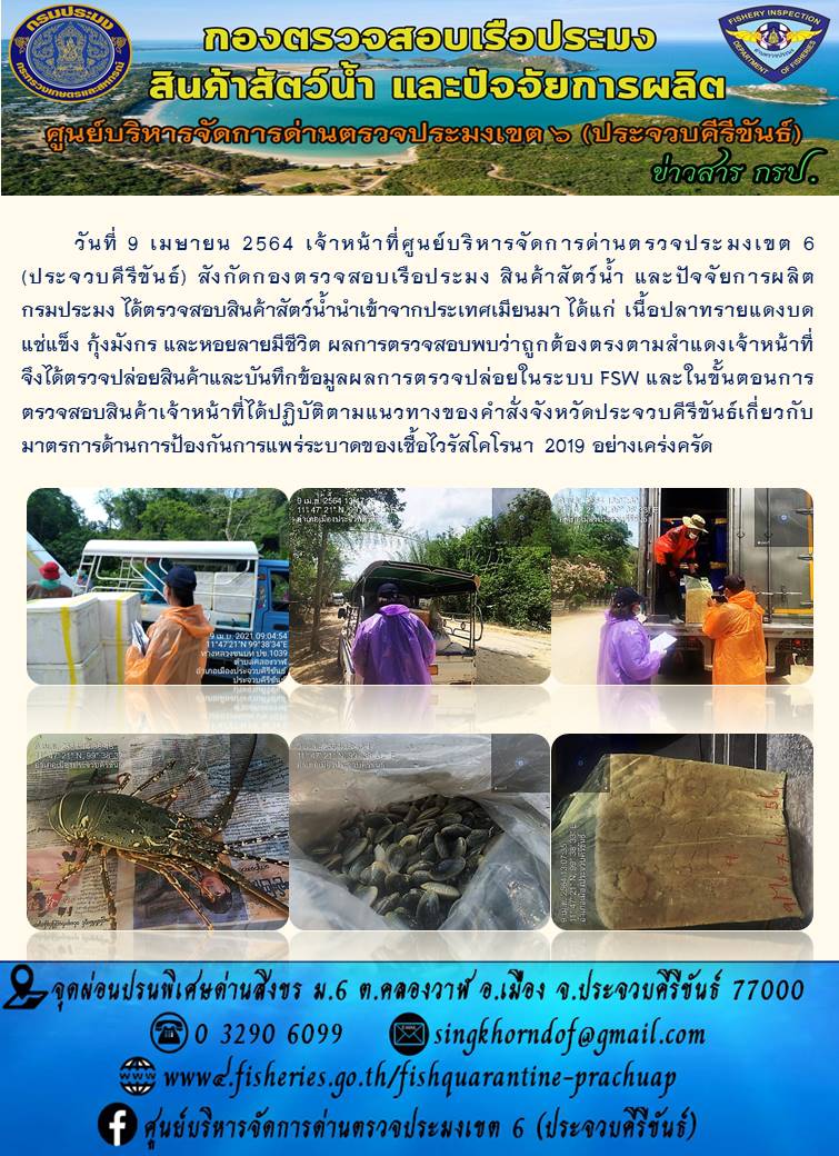 สินค้าสัตว์น้ำนำเข้าจากประเทศเมียนมา