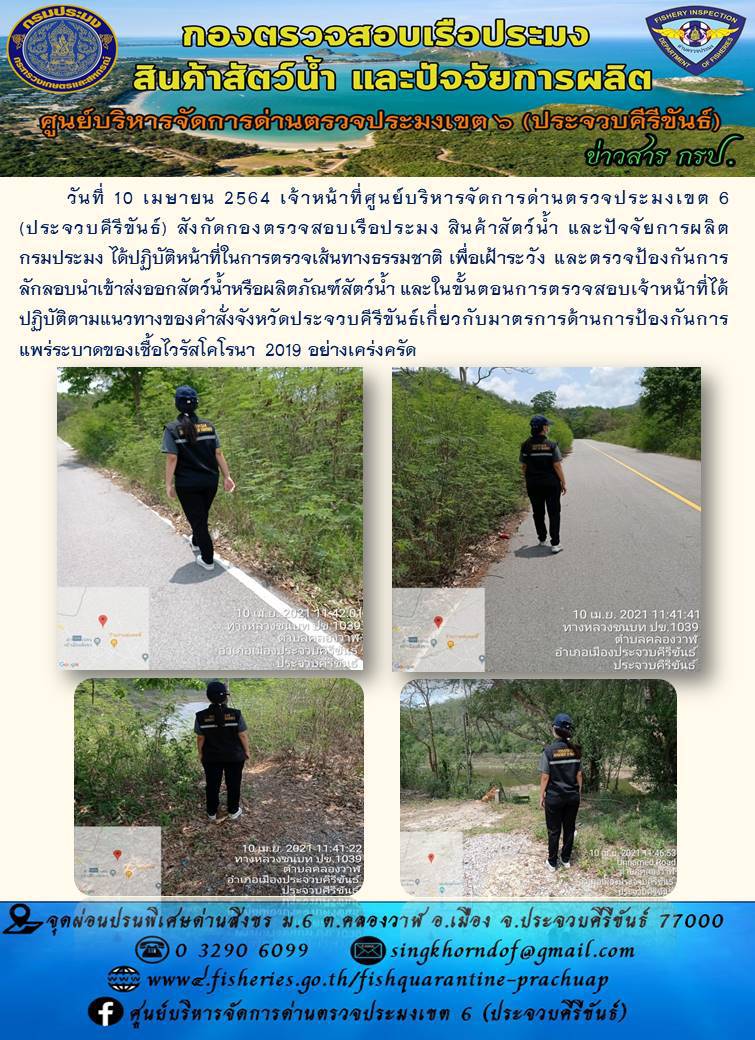 สินค้าสัตว์น้ำนำเข้าจากประเทศเมียนมา..คลิก