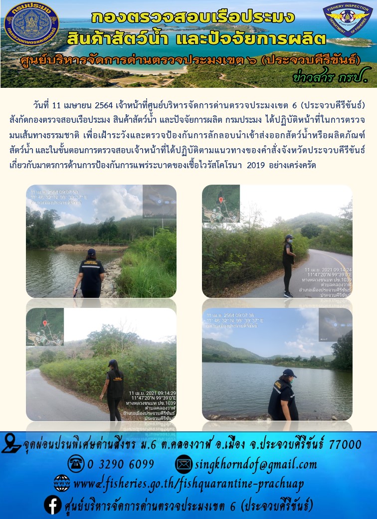 สินค้าสัตว์น้ำนำเข้าจากประเทศเมียนมา..คลิก