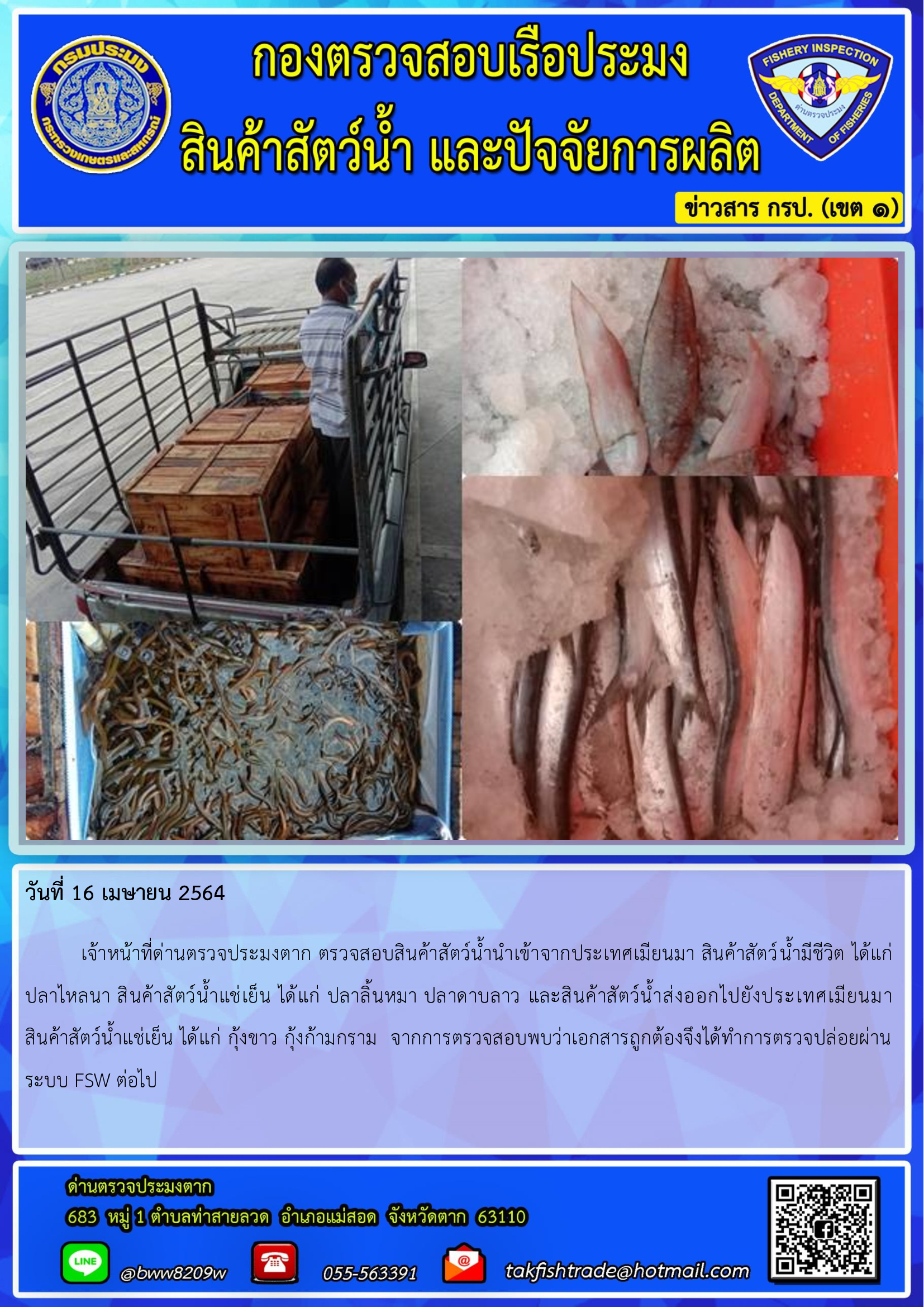 วันที่ 16 เมษายน 2564  	เจ้าหน้าที่ด่านตรวจประมงตาก ตรวจสอบสินค้าสัตว์น้ำนำเข้าจากประเทศเมียนมา สินค้าสัตว์น้ำมีชีวิต ได้แก่     ปลาไหลนา สินค้าสัตว์น้ำแช่เย็น ได้แก่ ปลาลิ้นหมา ปลาดาบลาว และสินค้าสัตว์น้ำส่งออกไปยังประเทศเมียนมา         สินค้าสัตว์น้ำแช่เย็น ได้แก่ กุ้งขาว กุ้งก้ามกราม  จากการตรวจสอบพบว่าเอกสารถูกต้องจึงได้ทำการตรวจปล่อยผ่านระบบ FSW ต่อไป..คลิก