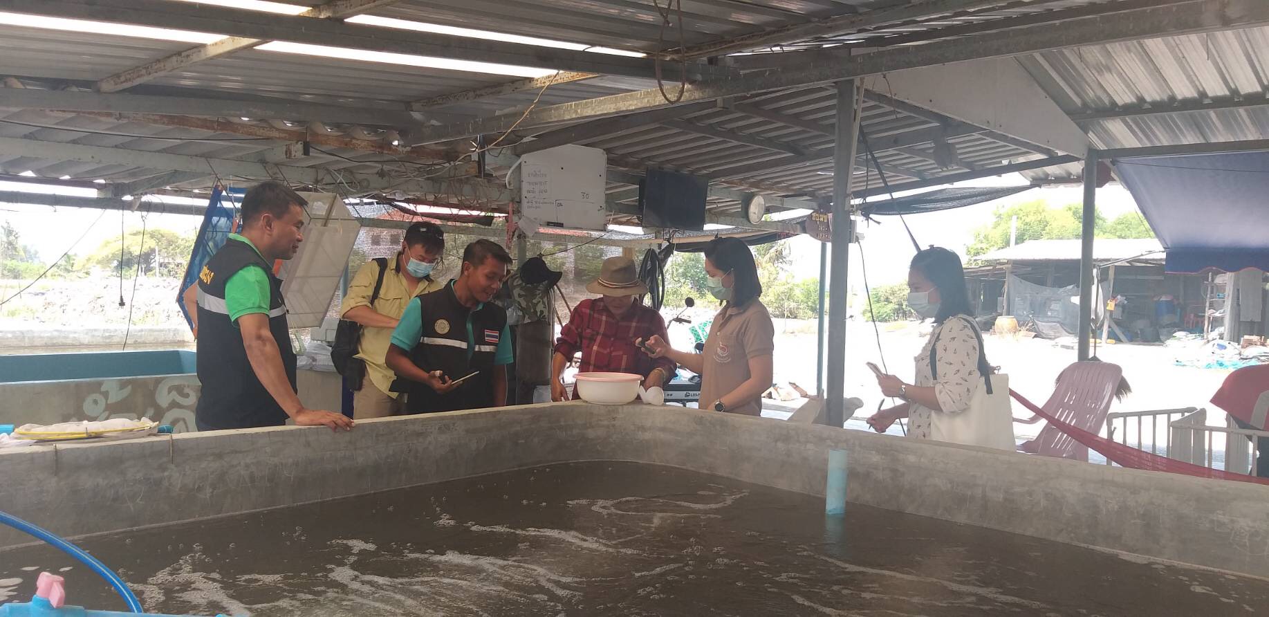 เข้าตรวจรับรองมาตรฐานฟาร์มพ่อแม่พันธุ์กุ้งก้ามกรามตามหลักพันธุศาสตร์ ในพื้นที่จังหวัดสุพรรณบุรี