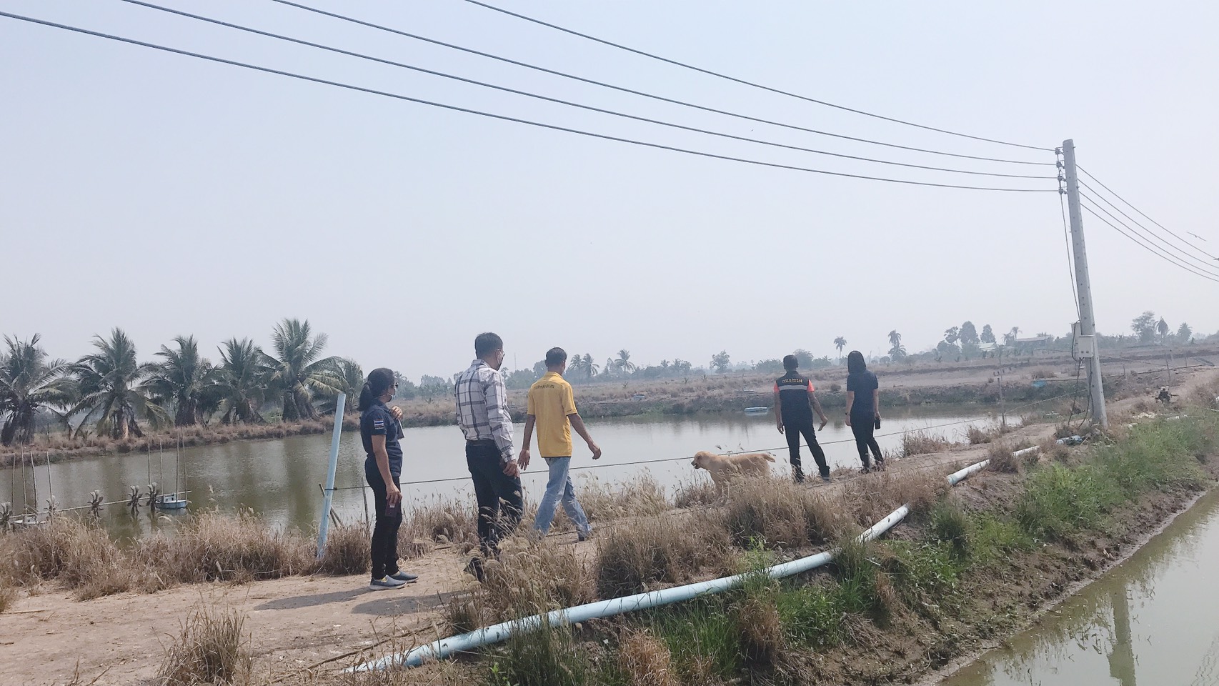 เข้าตรวจรับรองมาตรฐานฟาร์มพ่อแม่พันธุ์กุ้งก้ามกรามตามหลักพันธุศาสตร์ ในพื้นที่จังหวัดสุพรรณบุรี