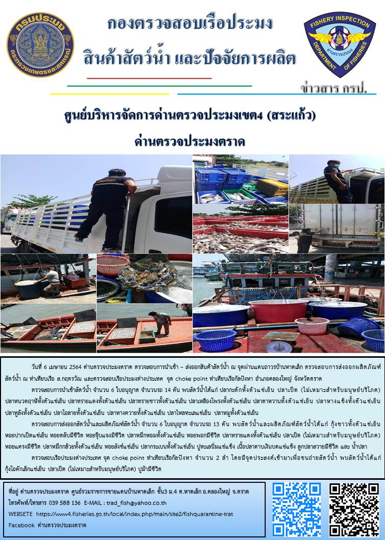วันที่ 6 เมษายน 2564 ด่านตรวจประมงตราด  ตรวจสอบการนำเข้า – ส่งออกสินค้าสัตว์น้ำ ณ จุดผ่านแดนถาวรบ้านหาดเล็ก ตรวจสอบการส่งออกผลิตภัณฑ์สัตว์น้ำ ณ ท่าเทียบเรือ ส.กฤตรวัณ ตรวจสอบเรือประมงต่างประเทศ จุด choke point ท่าเทียบเรือกัลปังหา อำเภอคลองใหญ่ จังหวัดตราด และ ตรวจสอบเรือประมงไทย ที่แจ้งเข้า - ออกผ่านระบบ Fishing info2 ร่วมกับชุดสหวิชาชีพ กรมเจ้าท่า กรมจัดหางาน กรมสวัสดิการ และคุ้มครองแผนงาน และล่ามภาษากัมพูชา เขตพื้นที่อำเภอคลองใหญ่ อำเภอเมืองและอำเภอแหลมงอบ จังหวัดตราด..คลิก