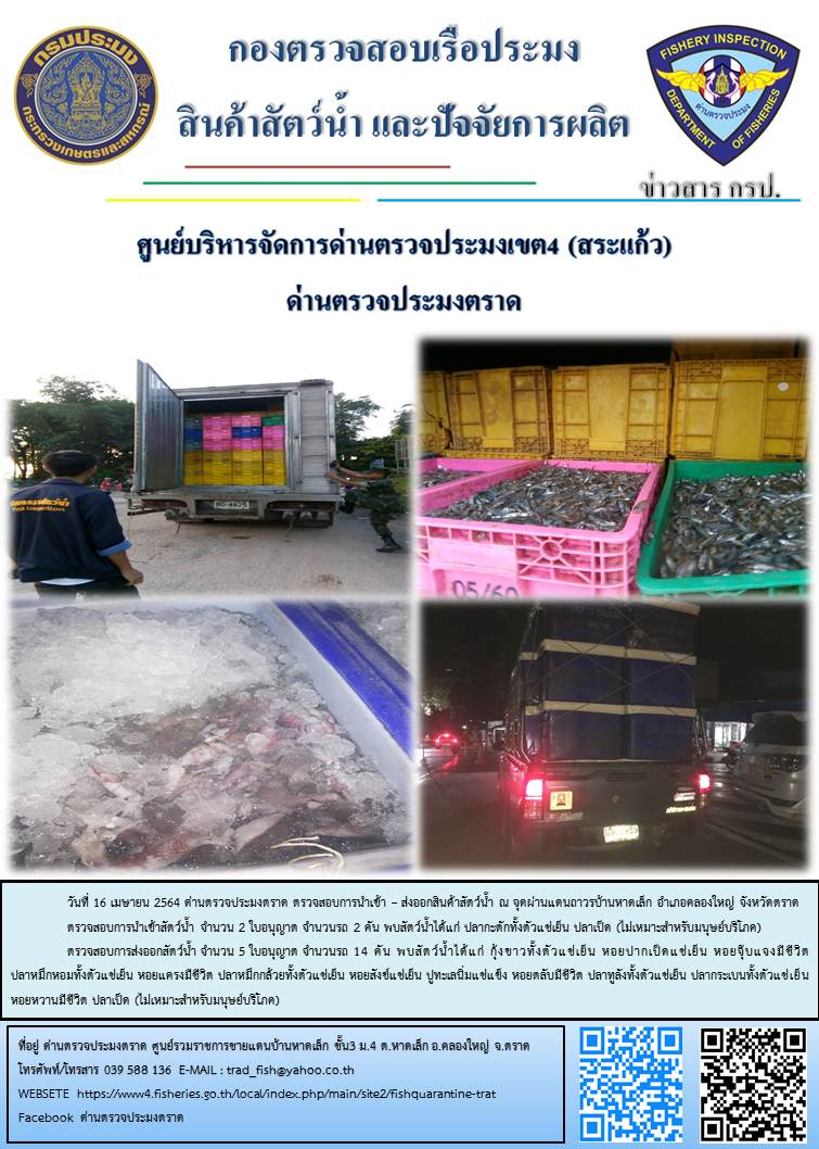 วันที่ 16 เมษายน 2564 ด่านตรวจประมงตราด  ตรวจสอบการนำเข้า – ส่งออกสินค้าสัตว์น้ำ ณ จุดผ่านแดนถาวรบ้านหาดเล็ก  อำเภอคลองใหญ่ จังหวัดตราด และ ตรวจสอบเรือประมงไทย ที่แจ้งเข้า - ออกผ่านระบบ Fishing info2 ร่วมกับชุดสหวิชาชีพ กรมเจ้าท่า กรมจัดหางาน กรมสวัสดิการ และคุ้มครองแผนงาน และล่ามภาษากัมพูชา เขตพื้นที่อำเภอคลองใหญ่ อำเภอเมืองและอำเภอแหลมงอบ จังหวัดตราด..คลิก