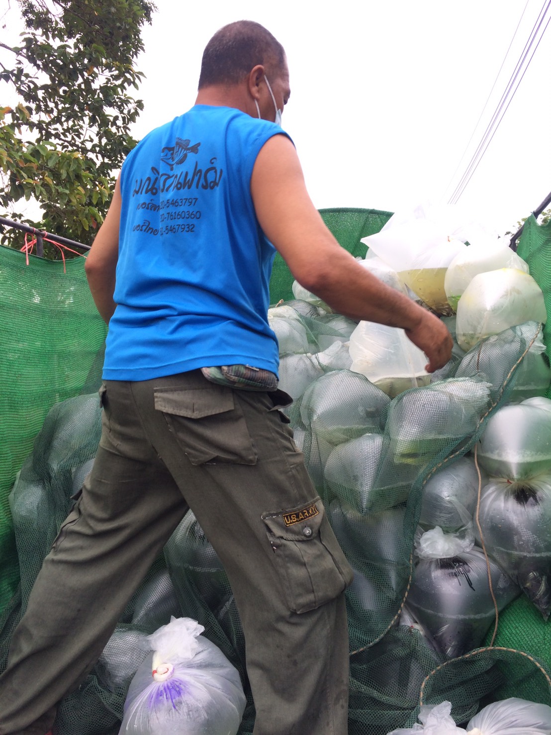 ตรวจสอบลูกพันธุ์สัตว์น้ำ ส่งออกไปยัง สปป.ลาว..คลิก