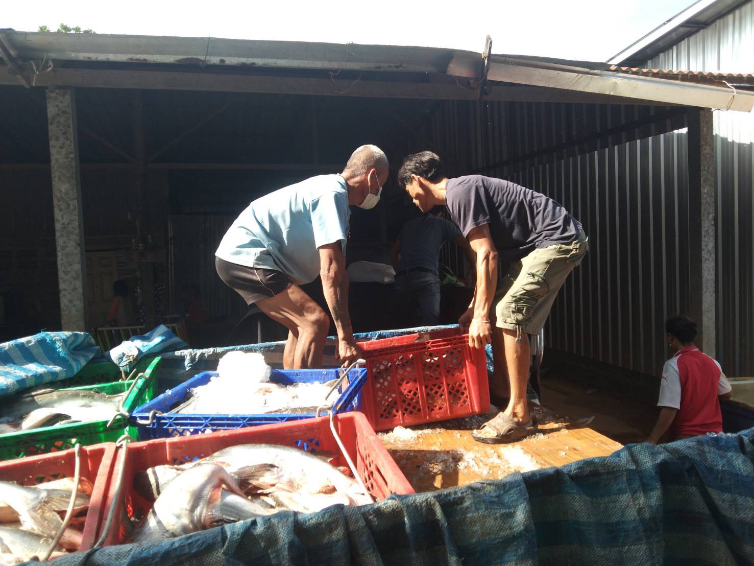 ผลการปฏิบัติงานด่านตรวจประมงสุรินทร์ วันที่ 20 เมษายน พ.ศ.2564..คลิก