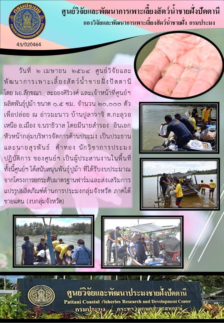 กิจกรรมปล่อยพันธุ์ปูม้า จำนวน 20,000 ตัว  บริเวณ อ่าวมะนาว อำเภอเมือง จังหวัดนราธิวาส