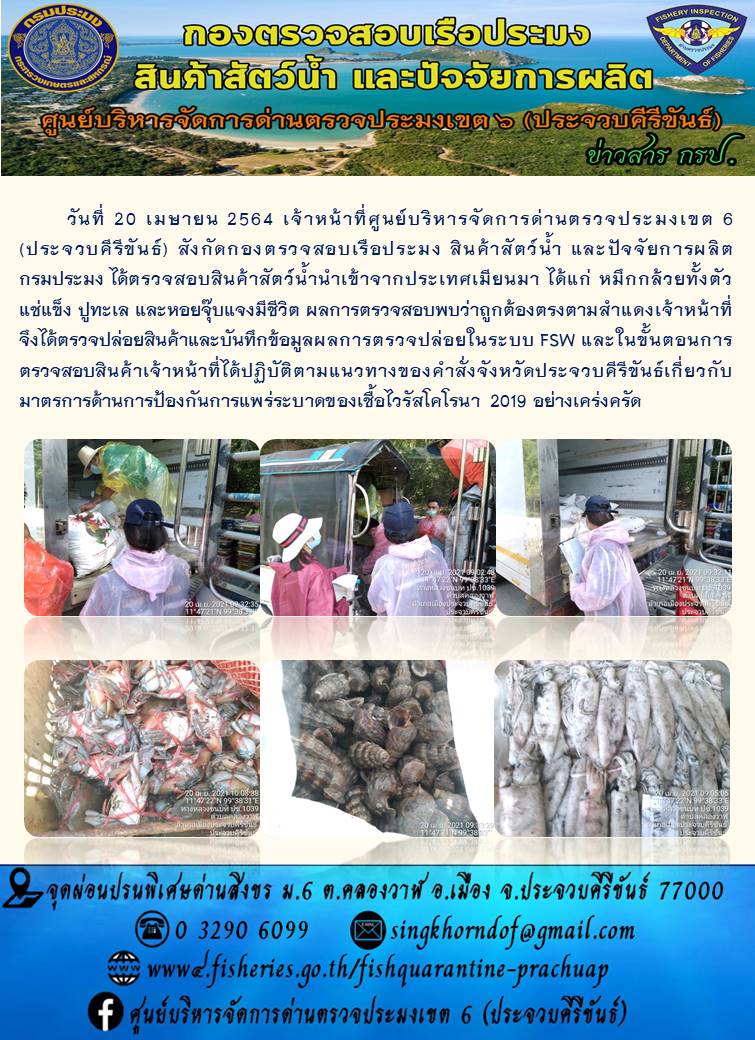 สินค้าสัตว์น้ำนำเข้าจากประเทศเมียนมา