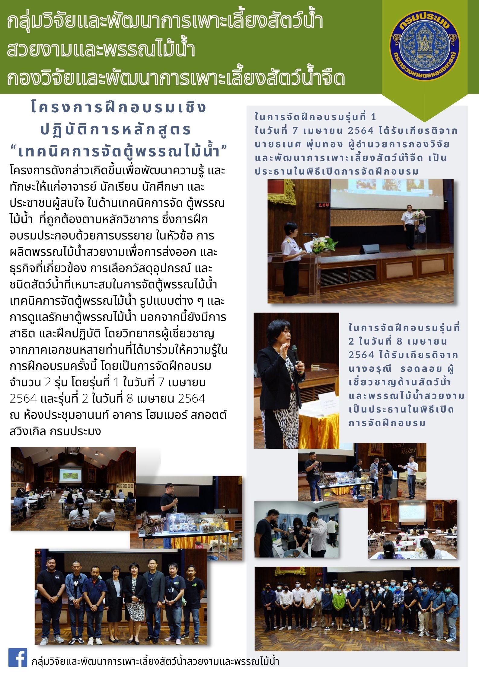 “เทคนิคการจัดตู้พรรณไม้น้ำ”