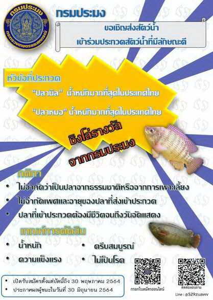 การประกวดสัตว์น้ำที่มีลักษณะดี