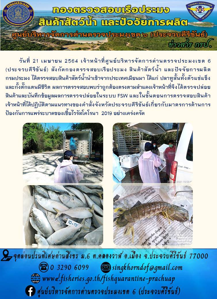 สินค้าสัตว์น้ำนำเข้าจากประเทศเมียนมา..คลิก