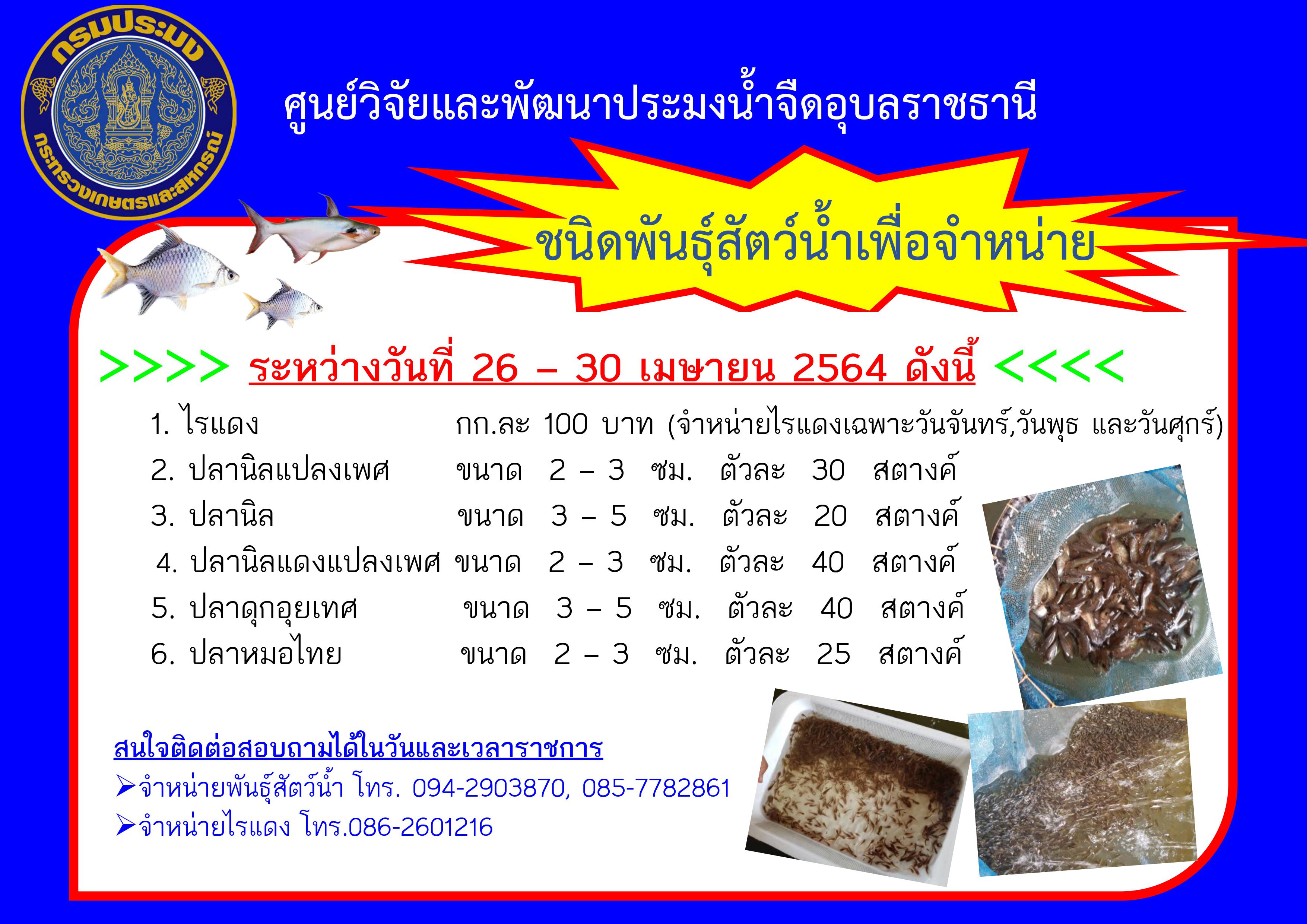 ชนิดพันธุ์สัตว์น้ำเพื่อจำหน่าย ระหว่างวันที่ 26 - 30 เมษายน 2564..คลิก