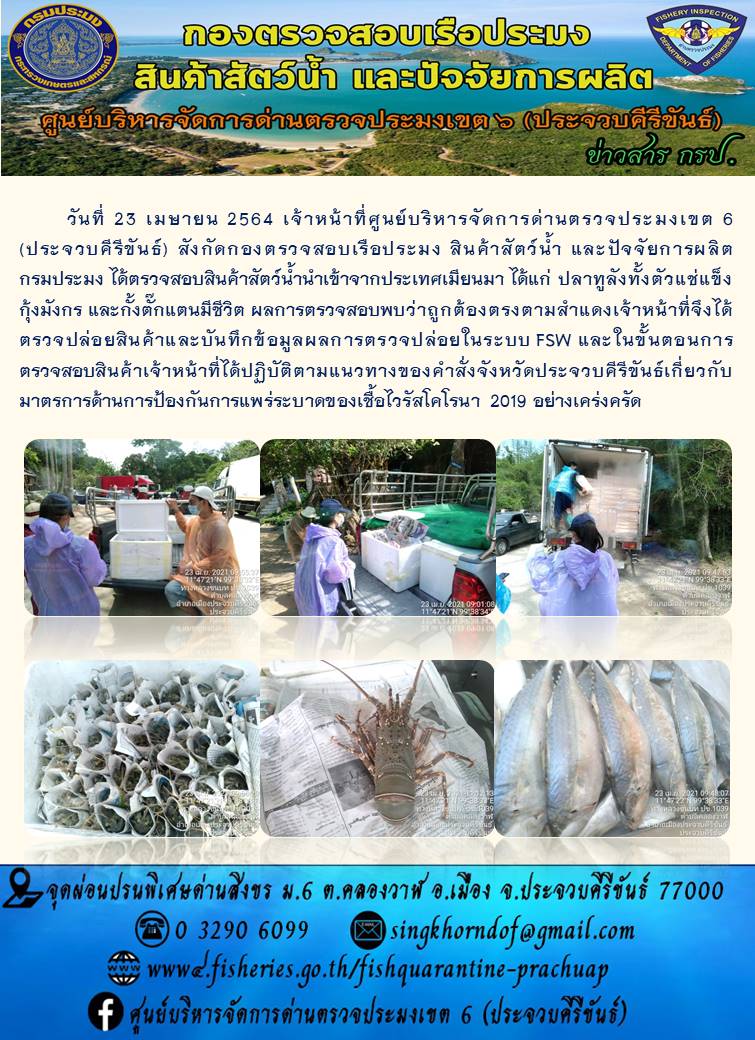 สินค้าสัตว์น้ำนำเข้าจากประเทศเมียนมา..คลิก