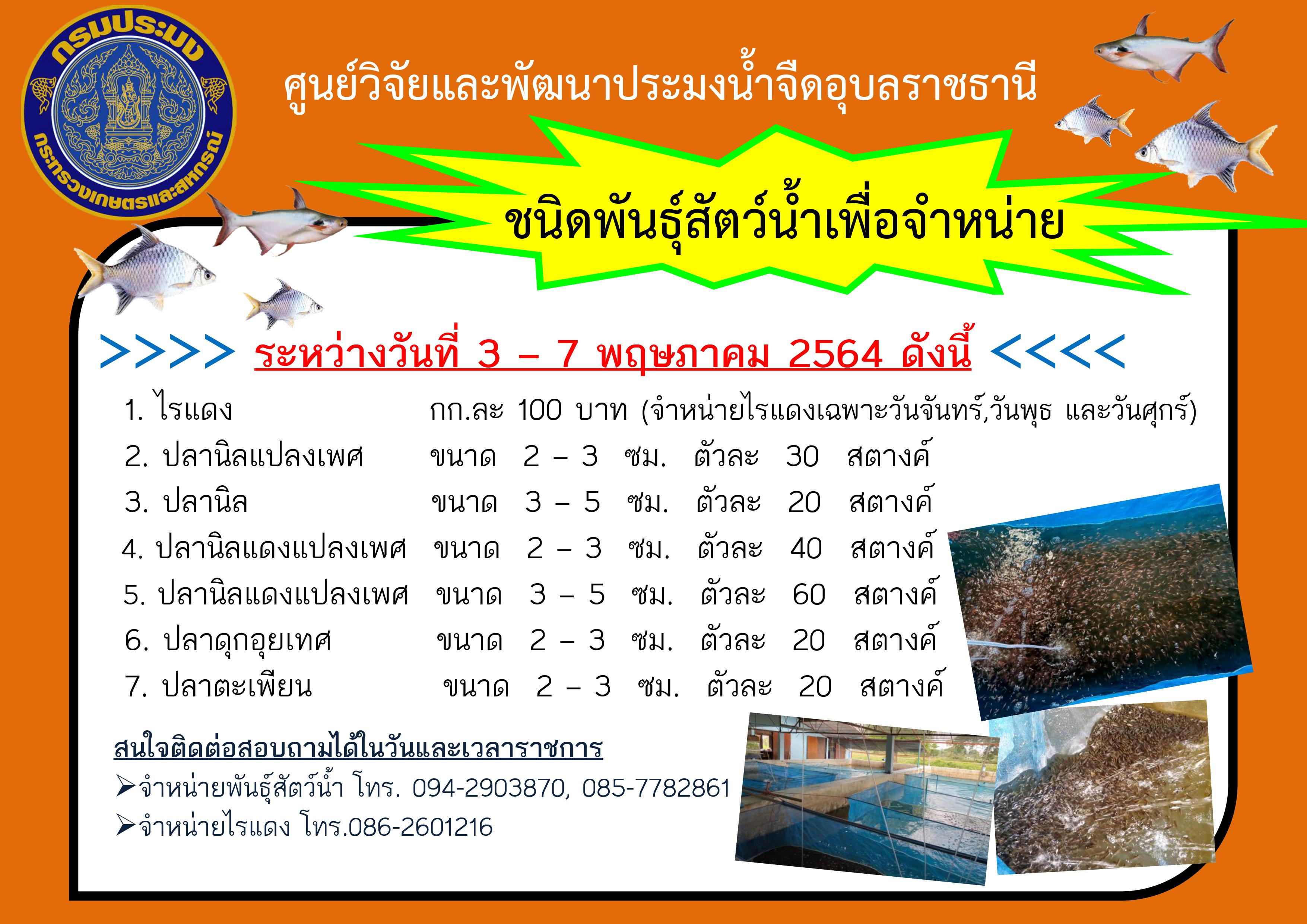 ชนิดพันธุ์สัตว์น้ำเพื่อจำหน่าย ระหว่างวันที่ 3-7 พฤษภาคม 2564..คลิก