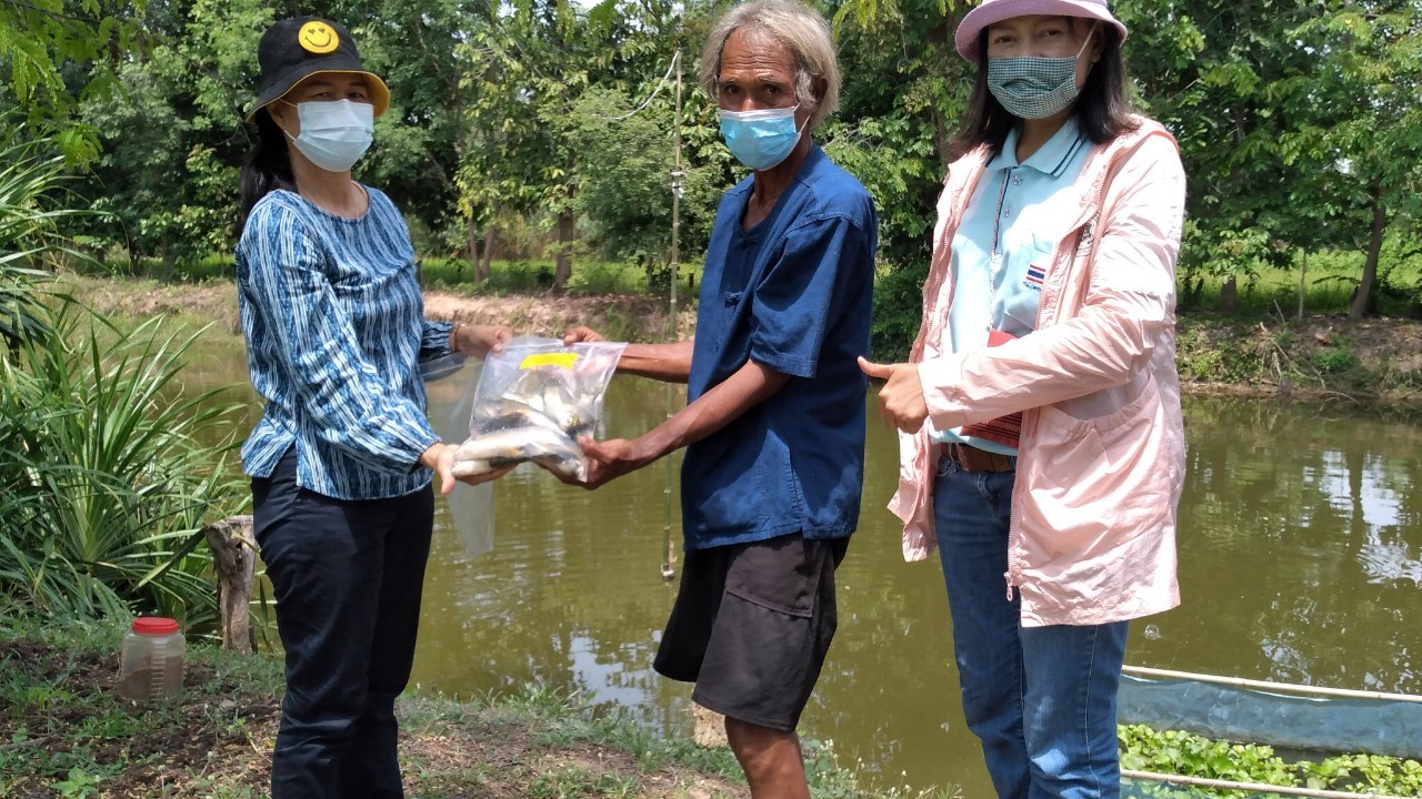 ข่าวประชาสัมพันธ์ประจำวันที่ 20-24 เมษายน 2564 ศูนย์วิจัยและพัฒนาการเพาะเลี้ยงสัตว์น้ำจืดศรีสะเกษ ปักษ์หลัง ฉบับที่ 43