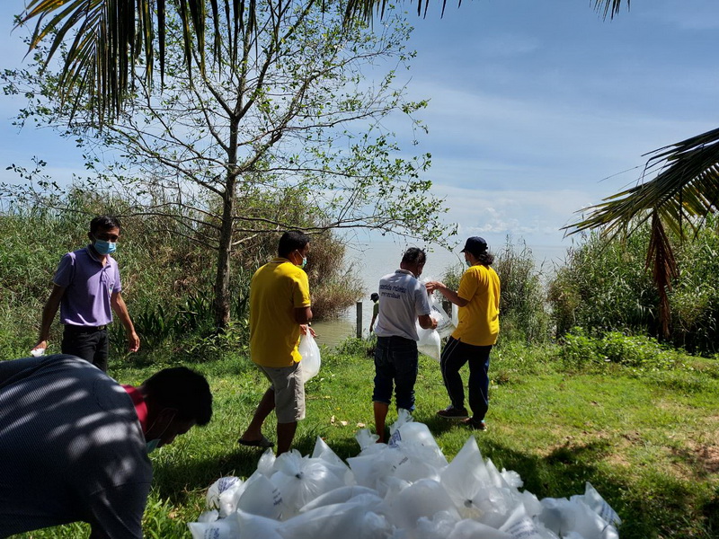 สนับสนุนพันธุ์กุ้งก้ามกราม เพื่อปล่อยลงสู่ทะเลสาบสงขลา พื้นที่จังหวัดพัทลุง..คลิก