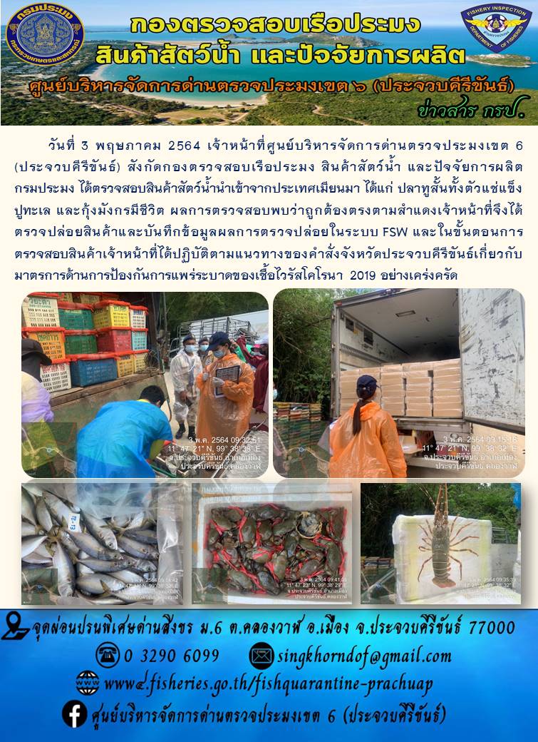 สินค้าสัตว์น้ำนำเข้าจากประเทศเมียนมา..คลิก
